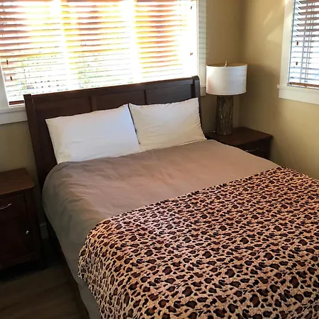 Port Renfrew Vacation Rentals Room photo