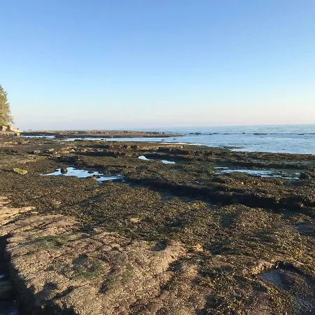 Port Renfrew Vacation Rentals Exterior photo
